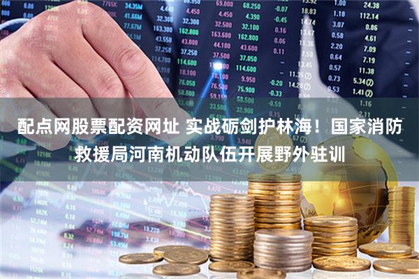 配点网股票配资网址 实战砺剑护林海!国家消防救援局河南机动队伍开展野外驻训