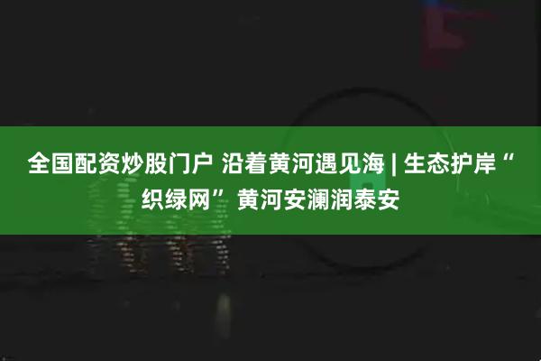 全国配资炒股门户 沿着黄河遇见海 | 生态护岸“织绿网” 黄河安澜润泰安