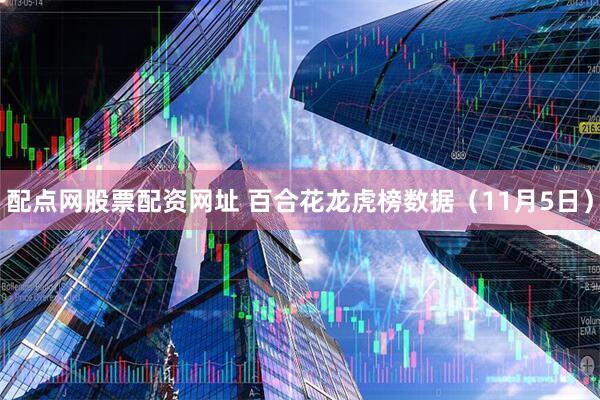 配点网股票配资网址 百合花龙虎榜数据（11月5日）