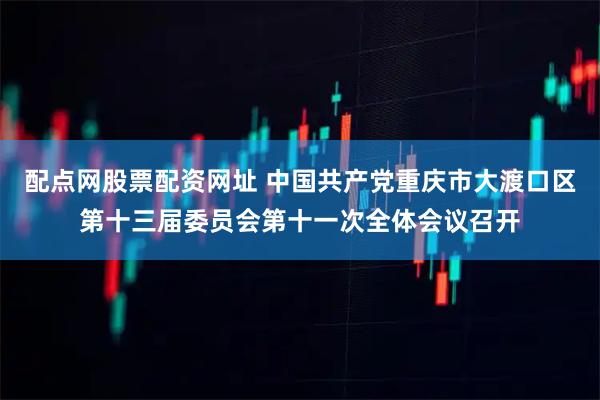 配点网股票配资网址 中国共产党重庆市大渡口区第十三届委员会第十一次全体会议召开