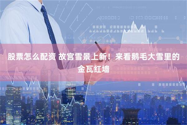 股票怎么配资 故宫雪景上新！来看鹅毛大雪里的金瓦红墙